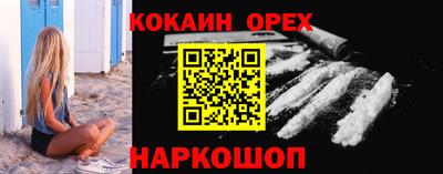 крисы Нальчик